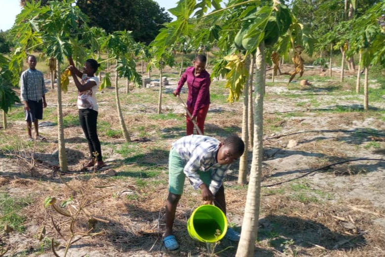 Bomen planten bij het kinderdorp