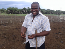 Julius assessing manure